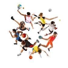 2025四川省马术联赛总决赛暨西南马术公开赛收官