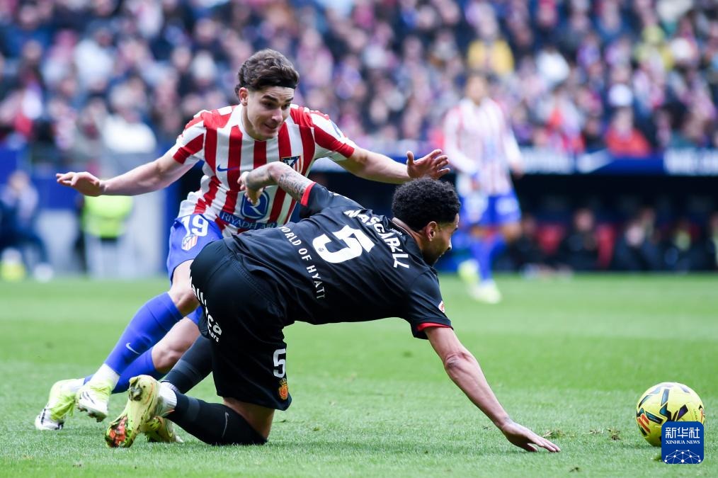 为做好国家女篮主教练工作 宫鲁鸣辞去篮协副主席职务