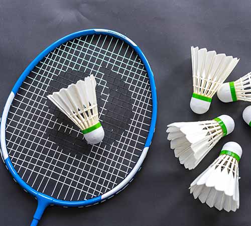 借进球和助 借进球和助